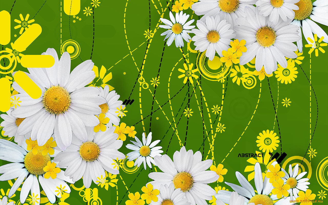 3, , flowers, 